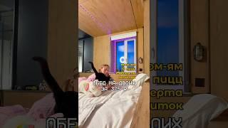 КАК ЗАКАЗАТЬ БОЛЬШОЙ УЖИН ЗА 375 ₽