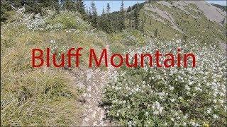 Bluff Mountain to 173