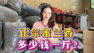 正宗凤凰单丛蜜兰香多少钱一斤？揭秘蜜兰香价格体系，内行人才懂