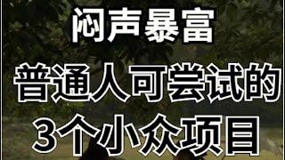 偏门灰产暴利网赚项目，后疫情时代逆袭赚钱最快的方法！#网赚 #赚钱 #揭秘#躺平 #被动收入 #挣钱 #灰色项目 #灰产 #蓝海项目#疫情 #2023 #逆袭 #创业 #创业项目 #网赚项目