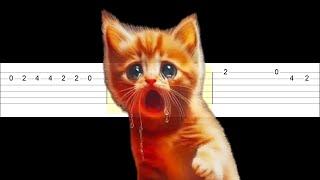 Miaw Miaw Miaw Miaw Sad Cat (Easy Guitar Tabs Tutorial)