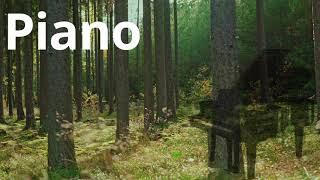 Piano Melodies in the Czech Forest - Music Video