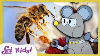 How Do Bees Make Honey? | The Science of Food! | SciShow Kids