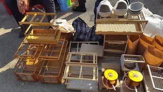 Тошкент қуш бозори: Қафаслар-клетки 3.10.20 Tashkent bird market