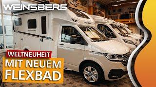 WEINSBERG X-CURSION VAN "EDITION [PEPPER]" 500 MQ | WELTNEUHEIT auf dem VOLKSWAGEN T6.1