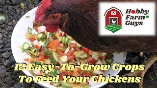 12 Easy-To-Grow Crops You Can Use To Feed Your Chickens