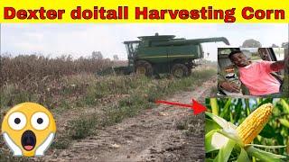 Dexter doitall Harvesting Corn In Louisiana