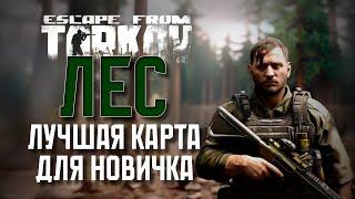 ОБЯЗАТЕЛЬНО ИГРАЙ ЛЕС! ГАЙД ПО ЛЕСУ. ESCAPE FROM TARKOV