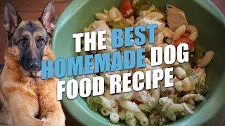 The Best Homemade Dog Food Recipe (Healthy and Cheap)