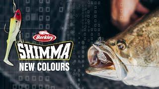Berkley Shimma | 2025 New Colours