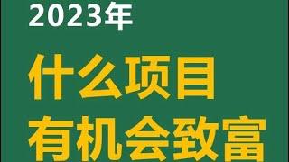 偏门灰产赚钱，独家蓝海暴利项目，抓住风口，穷人必备的创业网赚教程#赚钱 #灰产 #灰色项目 #网赚 #创业 #赚钱项目 #网赚项目 #创业项目 #快速赚钱 #揭秘 #副业 #赚钱方法 #财富#赚钱生意