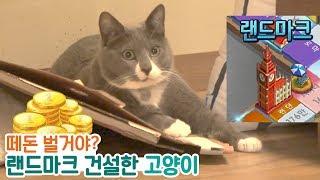 떼돈 벌거야? 랜드마크 건설한 고양이  |  김메주와고양이들
