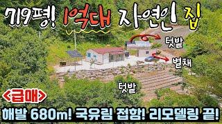 [380] 헐~ 이 가격이라구요? 손해 많이 보고 팝니다! / 별채까지 있는 올리모델링 주택 / 강원특별자치도 정선군 어량면 전원주택 매매 #정선부동산 #제천부동산