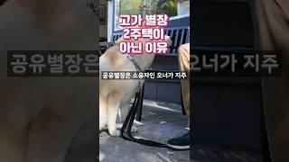 별장소유해도 2주택 면제