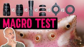 BEST Macro Tools 2023 ||| Extension Tubes vs Reverse Mount vs Macro Lens vs Raynox