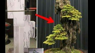 Bonsai penjing rock how to make step by step