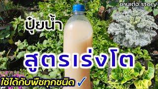 วิธีทำปุ๋ยน้ำ สูตรเร่งโต ใช้ได้กับพืชทุกชนิด [ปุ๋ยน้ำซาวข้าว]