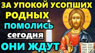 ПОМОЛИСЬ ЗА УСОПШИХ! ПРОЧТИ поминальную молитву за упокой усопших родных! Православие