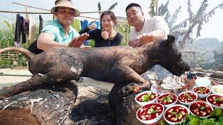 Canh Chó, Chó Thui Tre, Chó Khổng Lồ | Nhịp Sống Tây Bắc