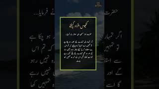 Kanjoos logon ke liye | Golden Words | Urdu Quotes for Success | #shorts #viralquotes
