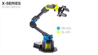 X-Series Robotic Arms - ReactorX 200