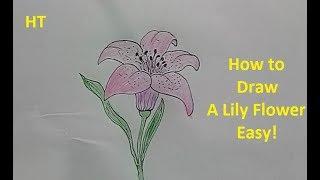 How to draw a lily flower Step By Step easy - Flower drawing