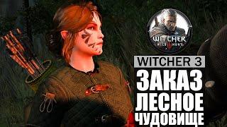 ЗАКАЗ ЛЕСНОЕ ЧУДОВИЩЕ Ведьмак 3 #13