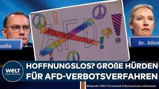 AFD-VERBOT: 800.000 Bürger unterstützen Antrag! Darum könnte ein Verbot aber nach hinten losgehen