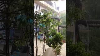 live Rain view of Ahsan ululoom