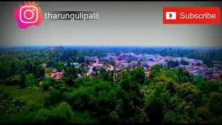 My village | Uddavolu | Drone view | Andhra Pradesh | @tharungulipalli