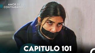 Amor De Contrabando Capitulo 101 (Doblada En Español)