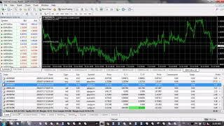 rfxsignals fund management service