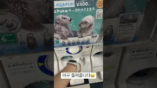 가챠 뽑기부터 정리 방법까지 #가챠 #캡슐 #정리 #일본여행