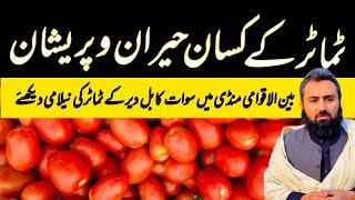 Islamabad Tomatoes Market I/11-4 Update | 11 October 2024 | Kabul Sawat  Tomatoes Today Prices