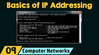 Basics of IP Addressing