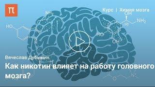 Ацетилхолин — Вячеслав Дубынин