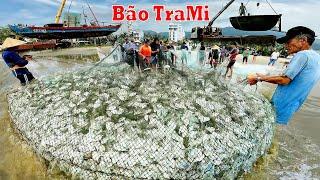 Ngư Dân Ven Biển Mất Ăn Mất Ngủ Vì Cơn Bão Này || Cả làng Tranh Thủ kiếm Cá Trước Ngày Bão Vào