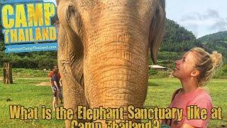 What is the Camp Thailand Elephant Sanctuary like?