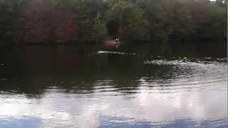 misty finding stick in lake