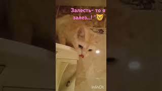 А"как спуститься? "
