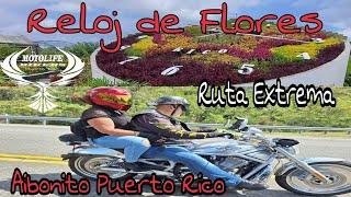 Ruta RELOJ DE FLORES AIBONITO | Puerto Rico | Motolife Bikers @Vueltaalmundoenmoto