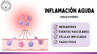 INFLAMACIÓN AGUDA: Mediadores, Eventos Vasculares y Celulares