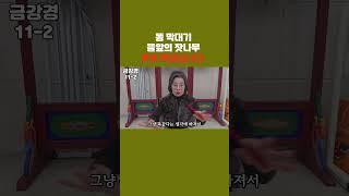 똑같다는 무엇은 없다#마음공부#깨달음#견성#성불#참선#명상#수행#수요법회#일없는 공부모임