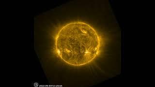 Solar Snake Spotted Slithering Across Sun’s Surface