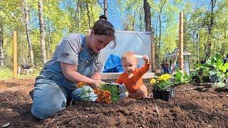 From Bare Ground to Homestead Garden + Starting a Compost Pile