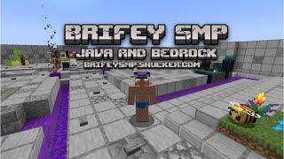 Join my 24/7 Minecraft SMP server!