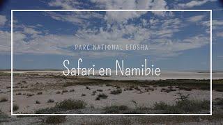 En safari sans voyager: Visitez le Parc Etosha en Namibie