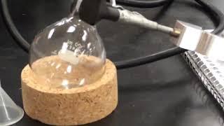 Banana Oil Synthesis of Isoamyl Acetate Part 1