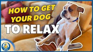 Is Your Dog Hyper At Home? How To Teach Relaxation. #137 #podcast