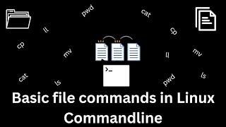 Basic file commands in Linux command-line